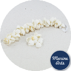 8586 - Drilled - White Cockle - Sea Shell Garland
